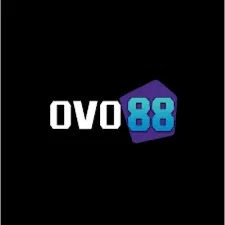 OVO88 - Permainan QiuQiu Terbaik untuk Penggemar Kartu